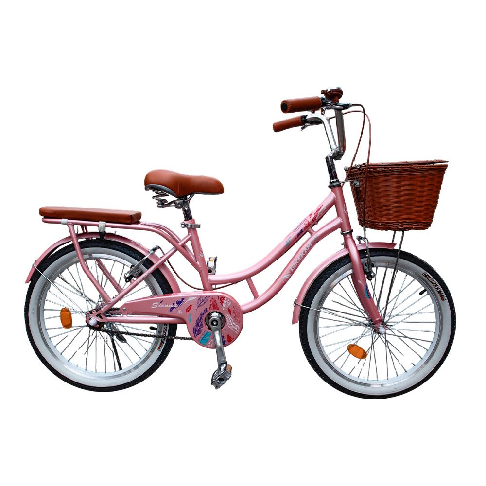 Bicicleta Box Vintage Aro 20 - Rosado
